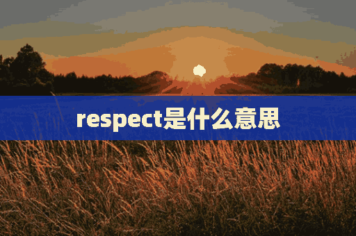 respect是什么意思(respect这个梗怎么用)